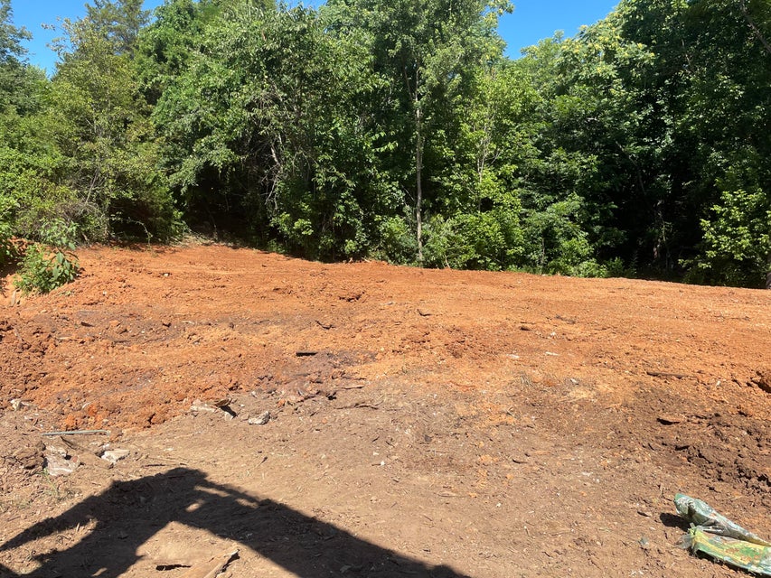 Photo #5: 3506 Apostle Road