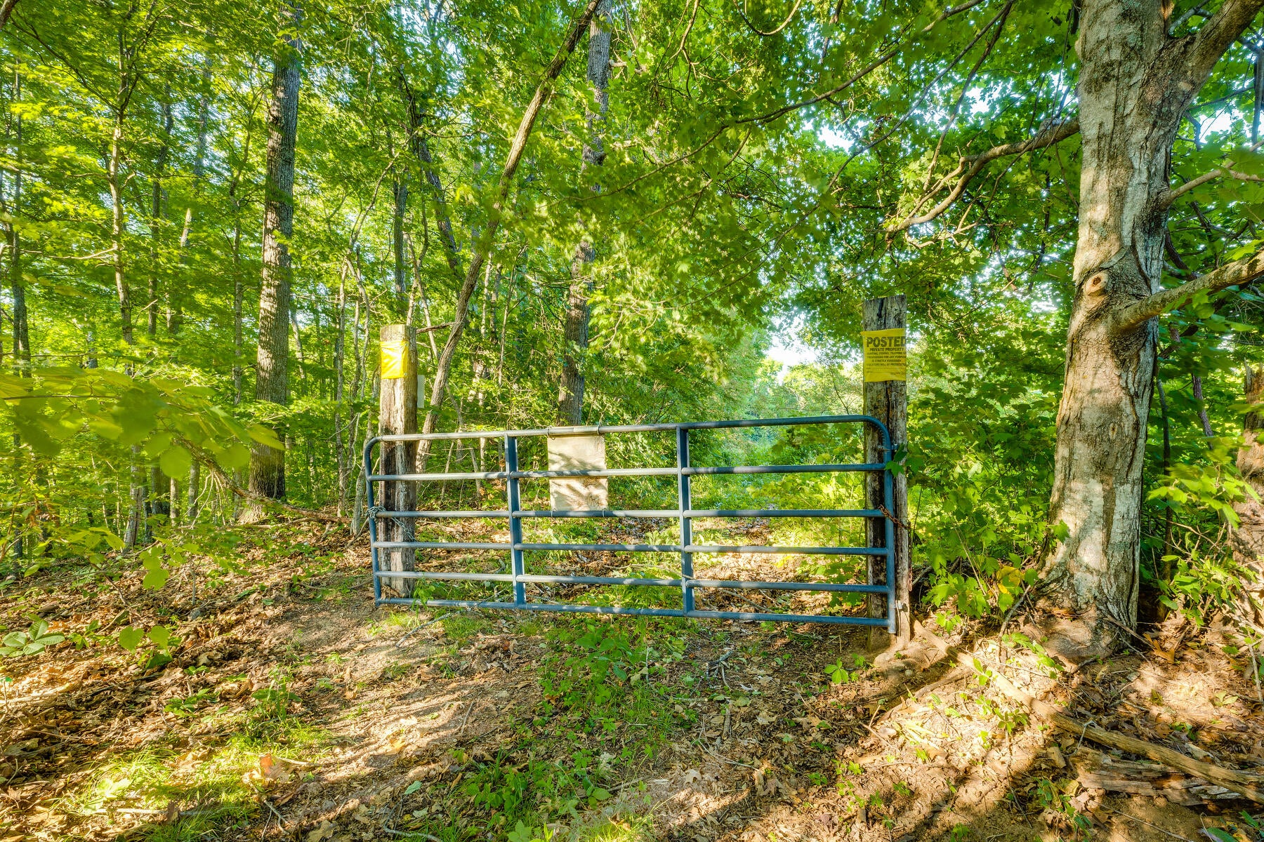 Photo #3: Tbd Limestone Valley Road