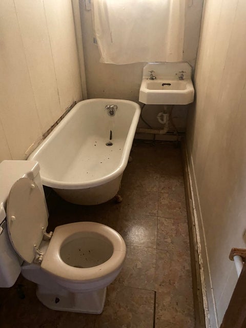 Photo #11: 1215 Windsor Avenue