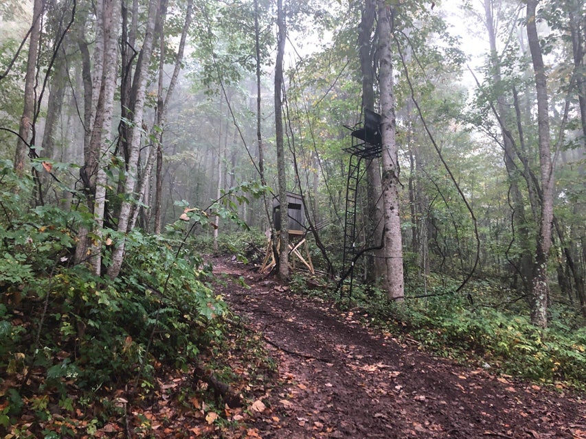 Photo #5: 2625 Snake Hollow Road