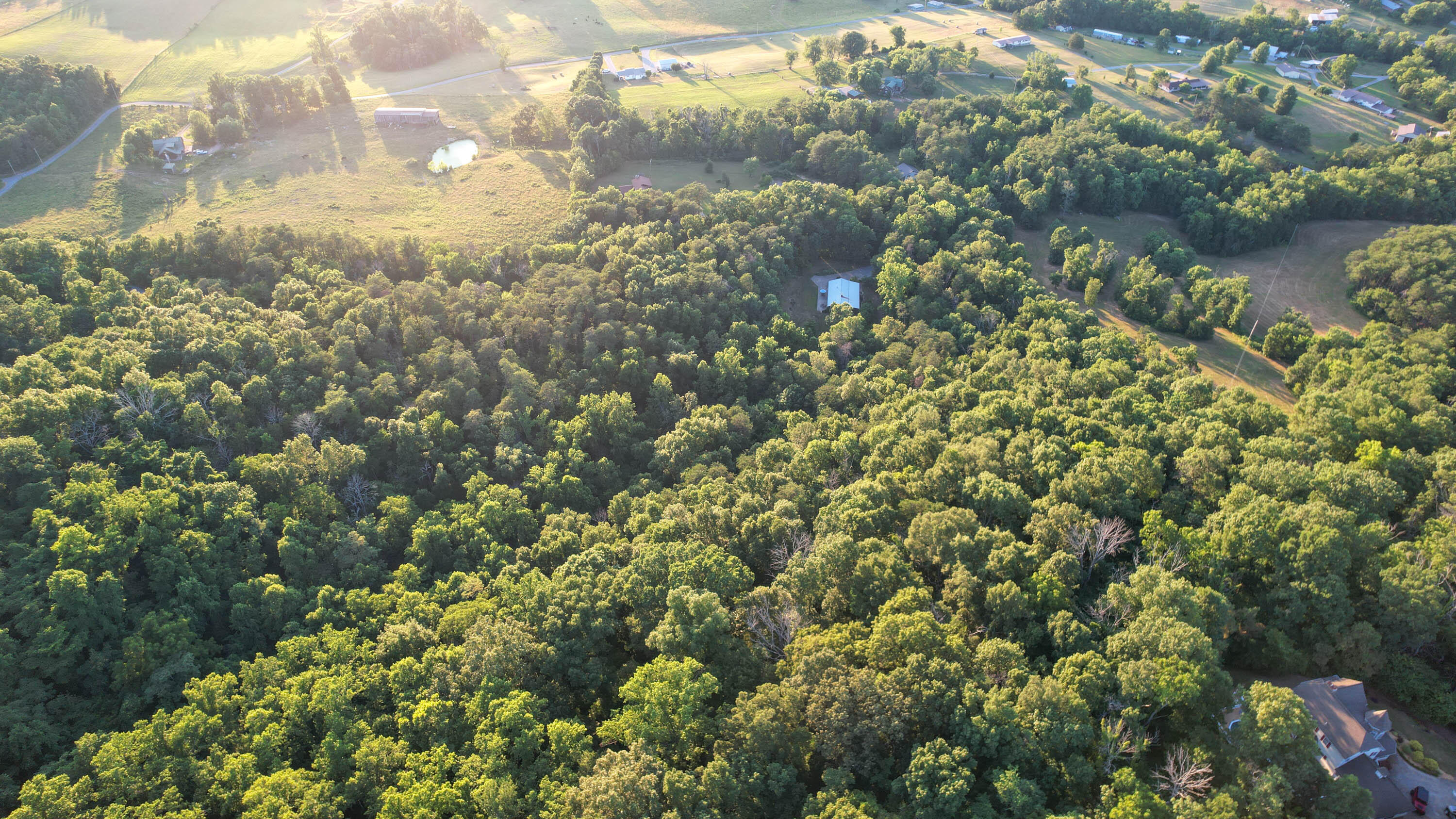 Photo #53: 385 Overbrook Lane