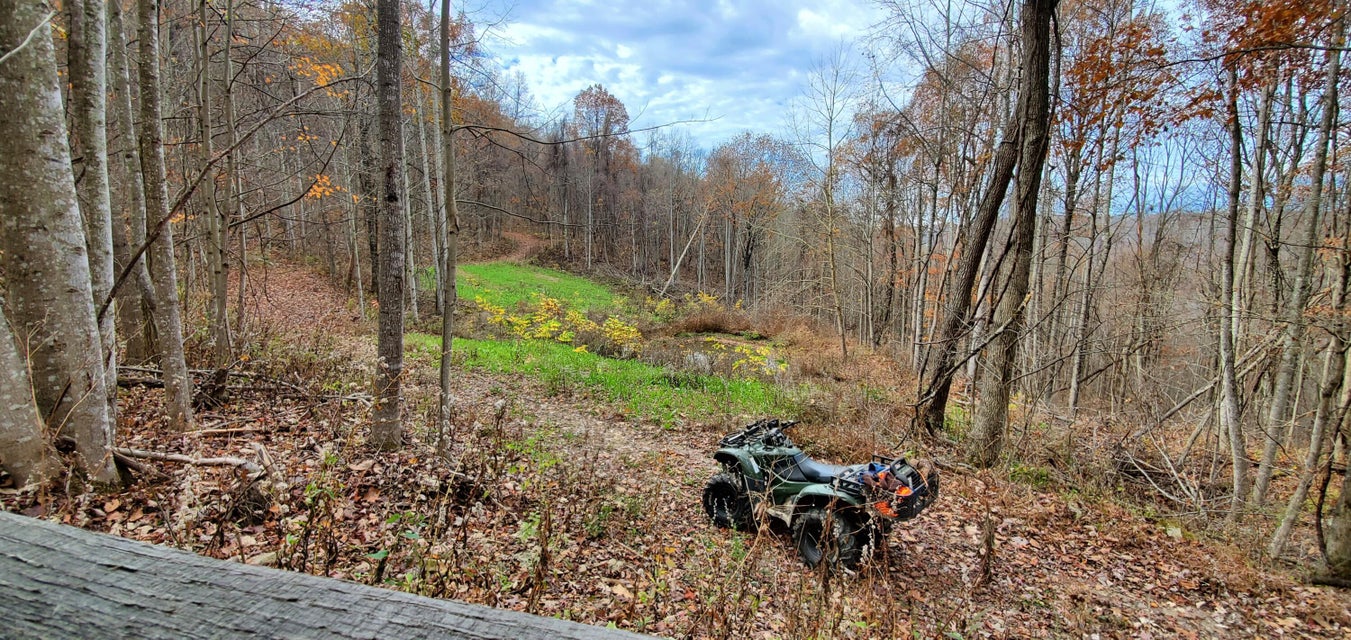 Photo #8: 2625 Snake Hollow Road