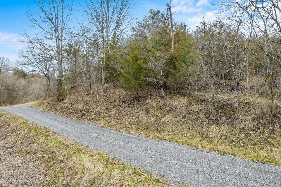 Photo #7: 2692 Bear Creek Road