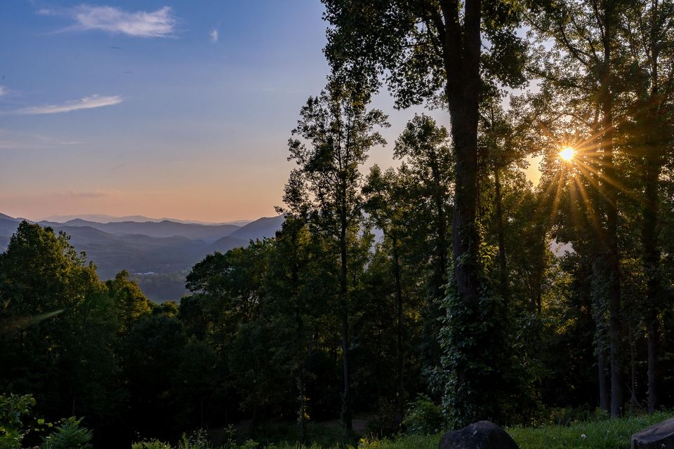 Photo #72: Lot 1 Ridgetop Lane