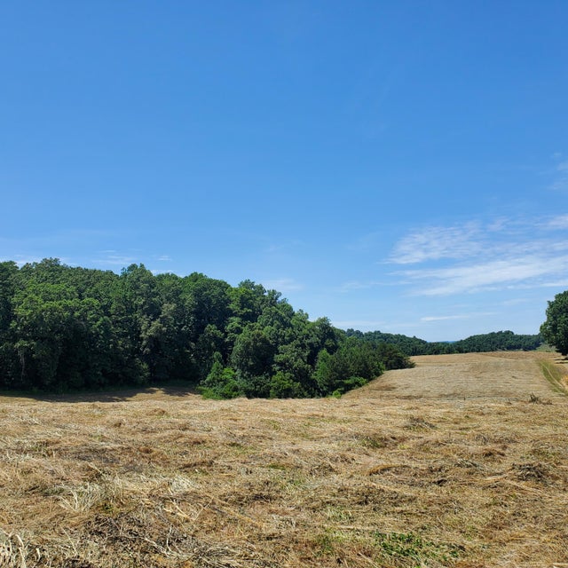Photo #6: 0 Warrensburg Road
