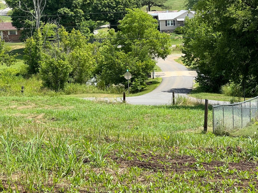 Photo #13: 45 Clear Springs Road