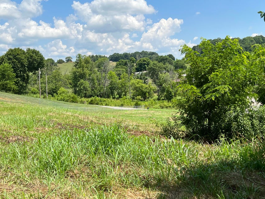Photo #18: 45 Clear Springs Road