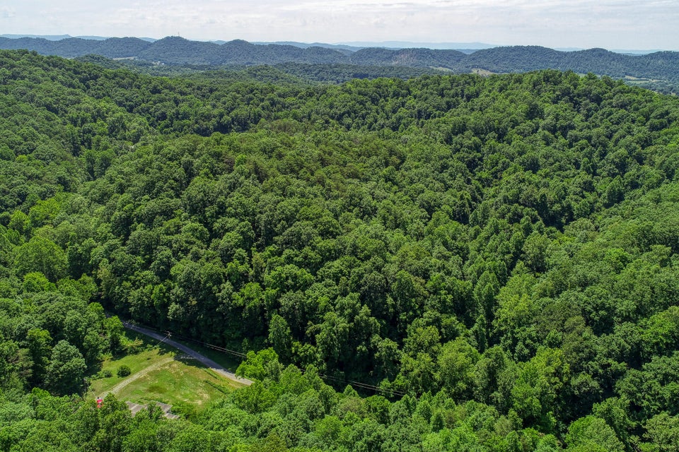 Photo #5: Tbd Sandy Valley Road