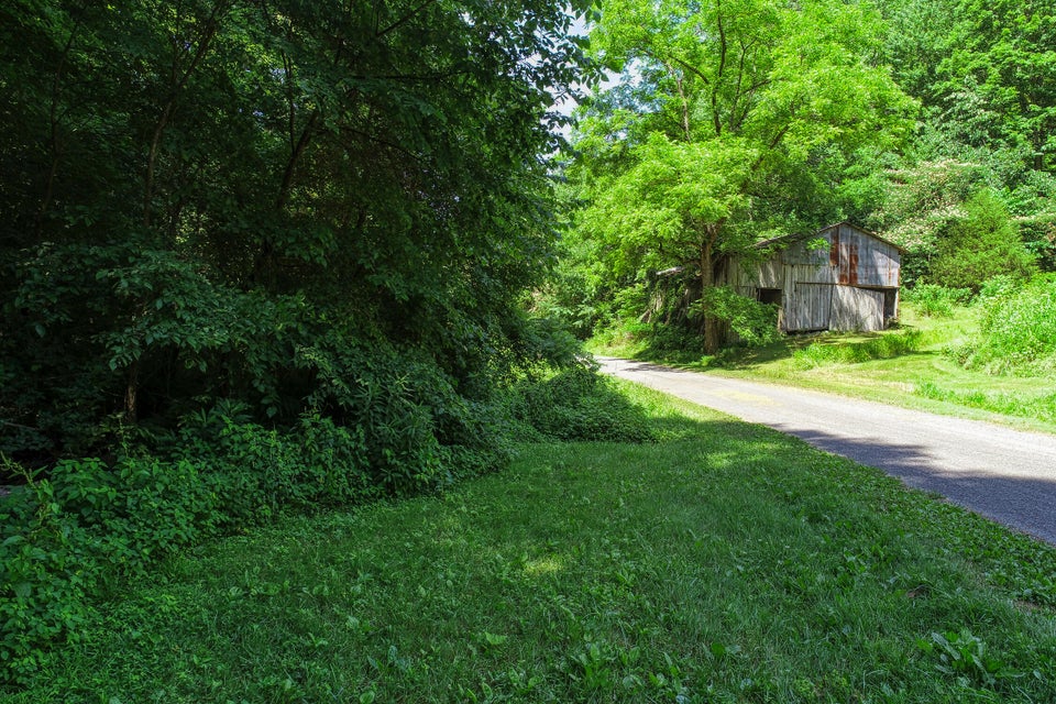 Photo #14: Tbd Sandy Valley Road