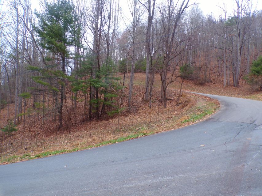 Photo #2: Tbd Callalantee Drive