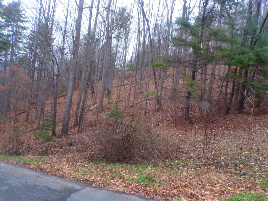 Photo #4: Tbd Callalantee Drive