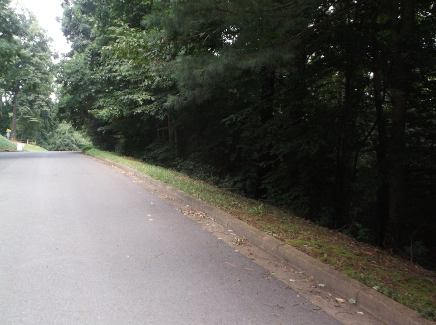 Photo #10: Tr 2 Strawberry Lane