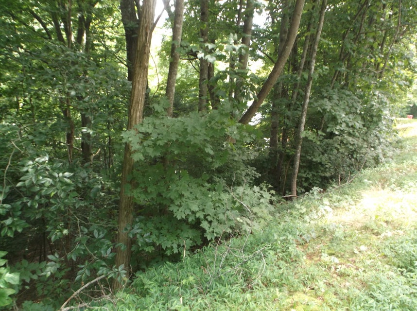 Photo #14: Tr 2 Strawberry Lane