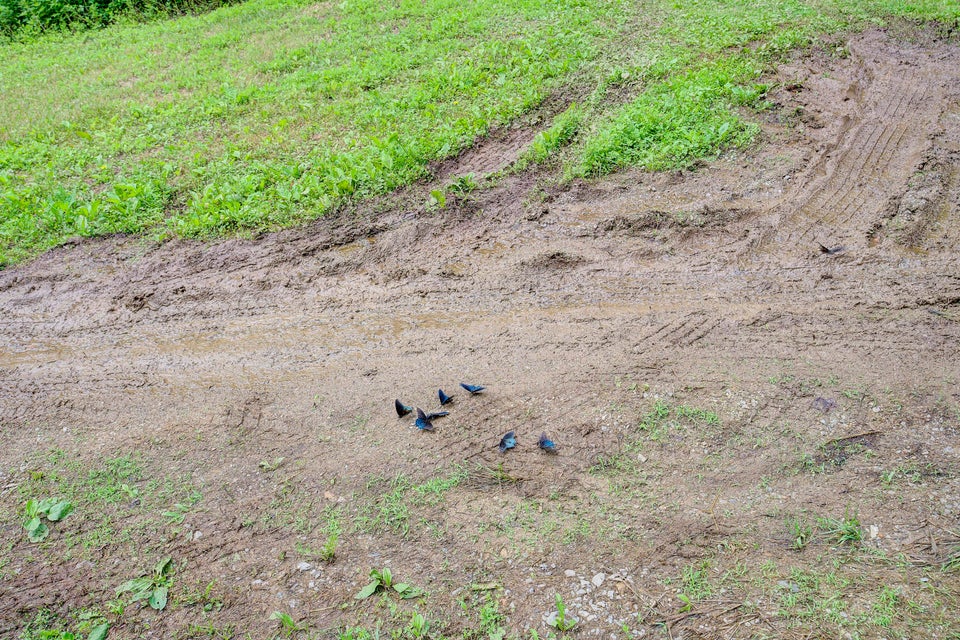 Photo #23: 1010 Binary Road