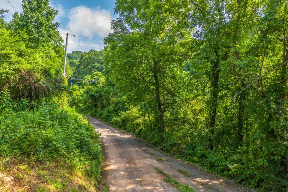 Photo #14: 0 Winegar Road