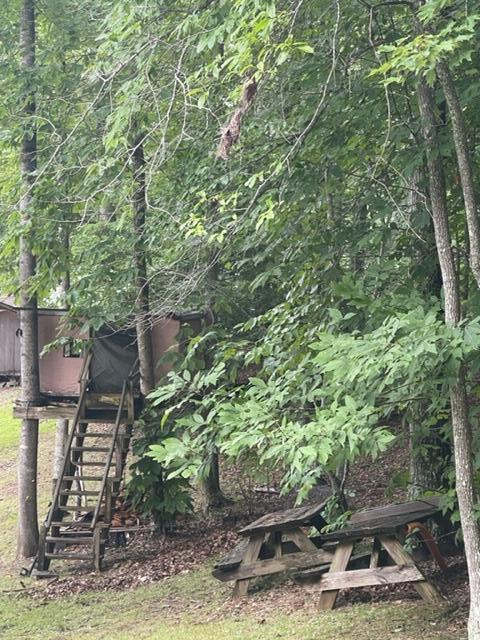 Photo #12: 2502 Rock Dove Road