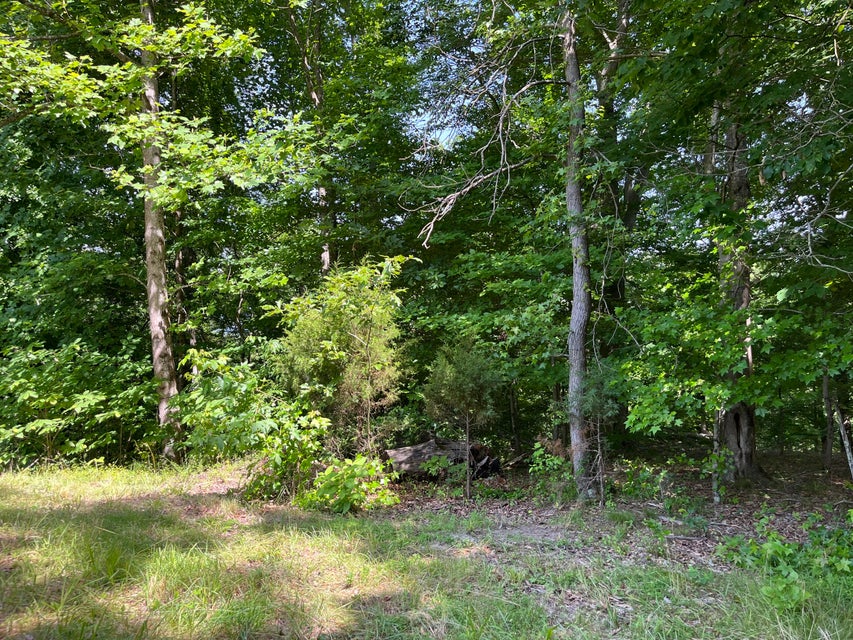 Photo #31: 1436 Christian Bend Road