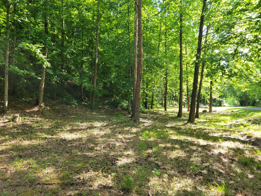 Photo #4: Tbd Riverview Drive