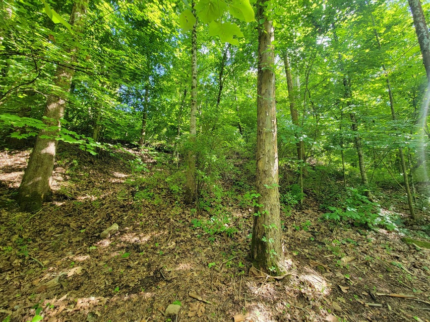Photo #6: Tbd Riverview Drive