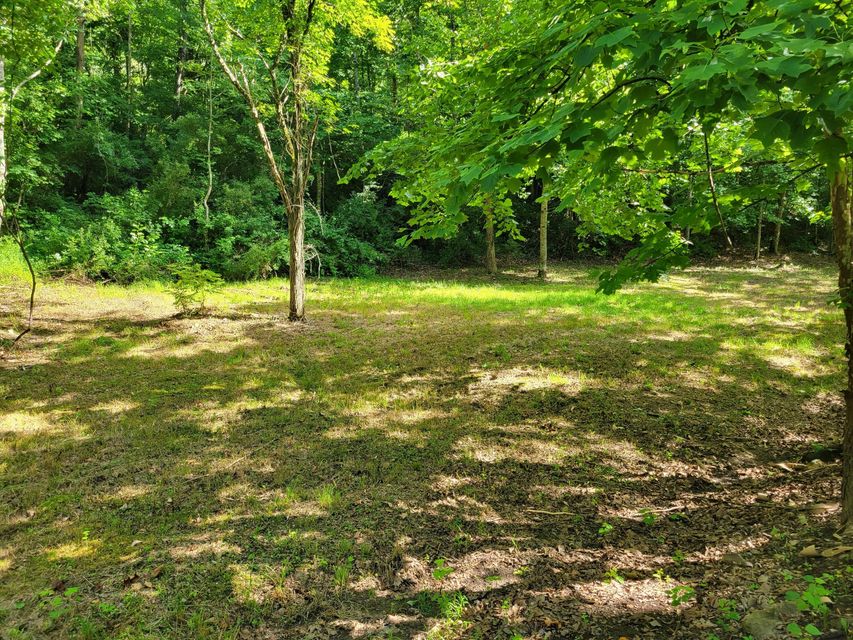 Photo #10: Tbd Riverview Drive