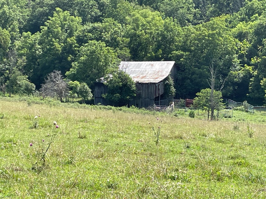 Photo #3: 00 Cedar Creek Road