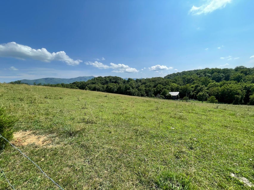 Photo #4: 00 Cedar Creek Road