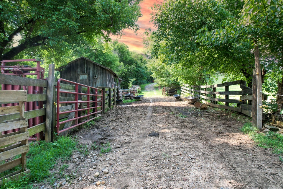 Photo #4: 825 Birdwell Mill Road