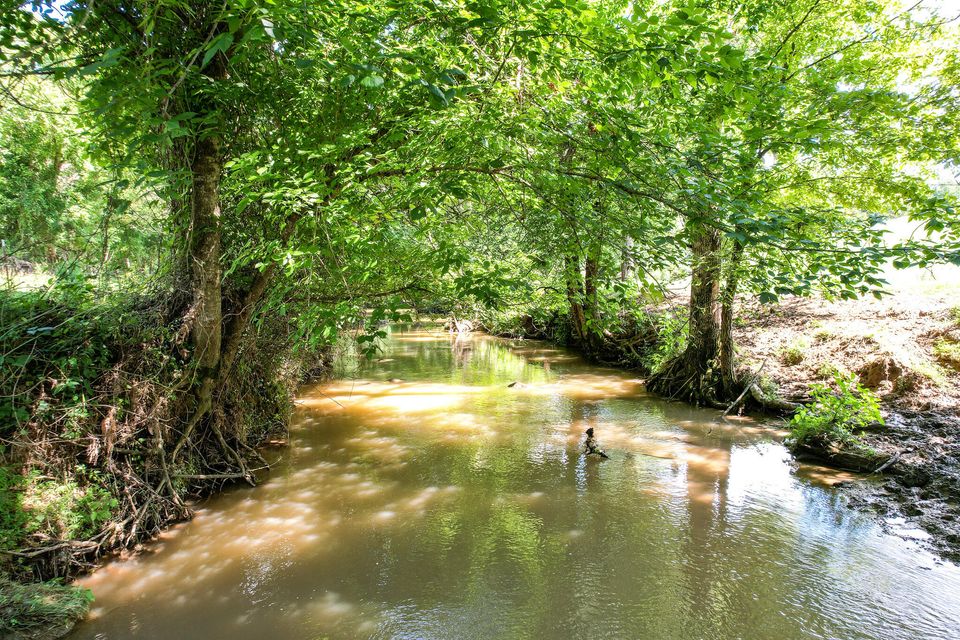 Photo #8: 825 Birdwell Mill Road