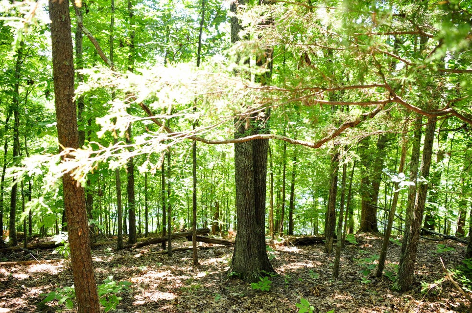 Photo #9: 121 Pointe Drive