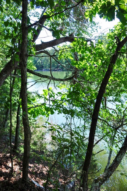 Photo #33: 121 Pointe Drive