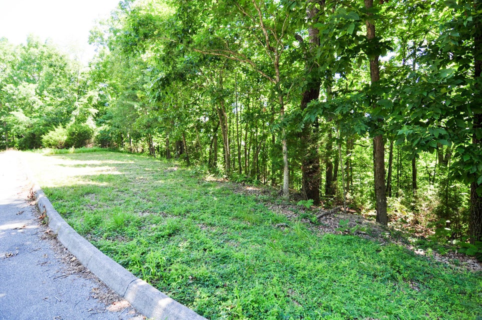 Photo #39: 121 Pointe Drive