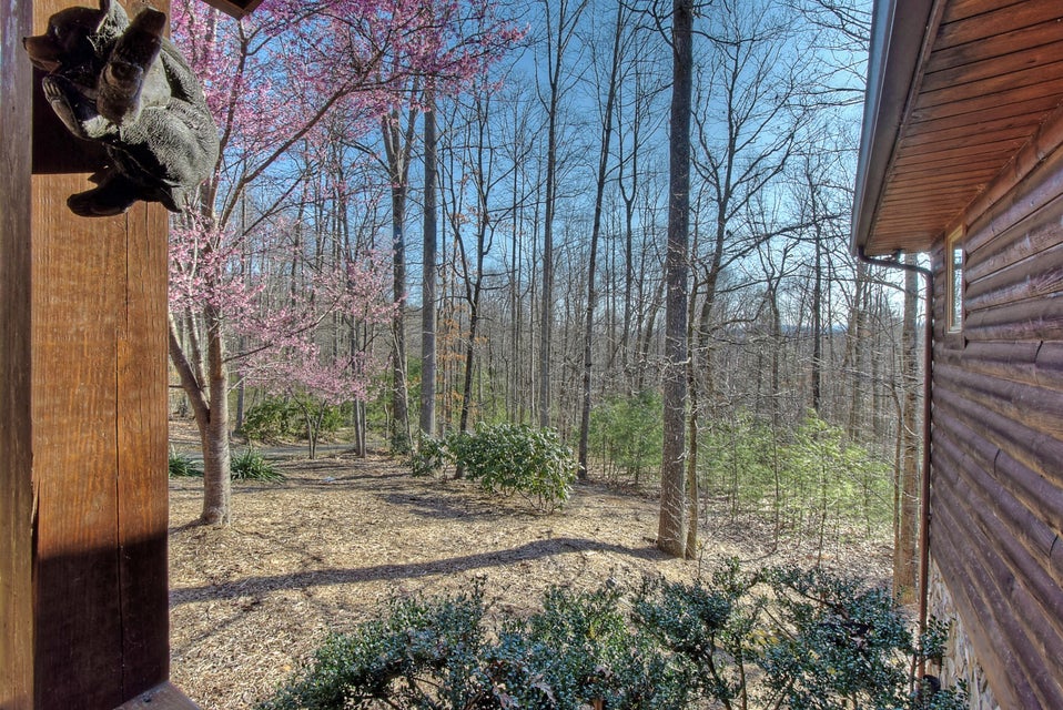 Photo #5: 201 Bear Ridge Drive