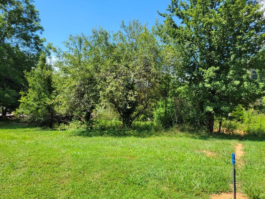 Photo #4: Lot 35 Jeb Stuart Hwy