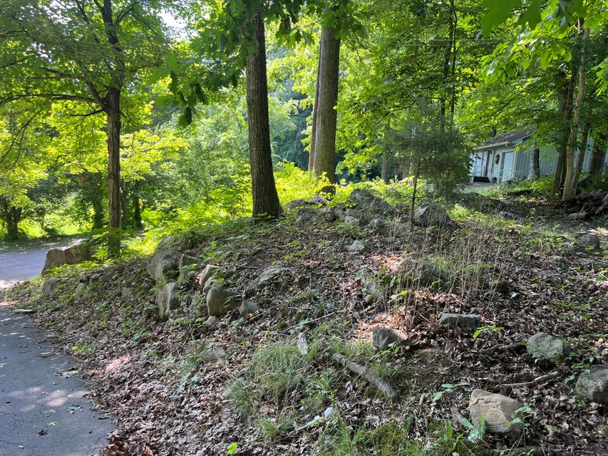 Photo #50: 265 Holston Drive Lane