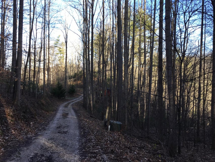 Photo #3: Tbd4 Banjo Ridge Road Road