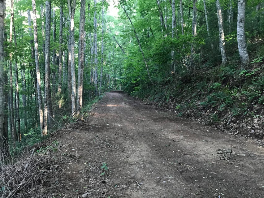 Photo #18: 0 Lakeview Dr/Rd Cambell Drive