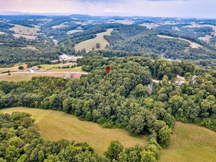 Photo #7: Lot 72 Larimar Lane