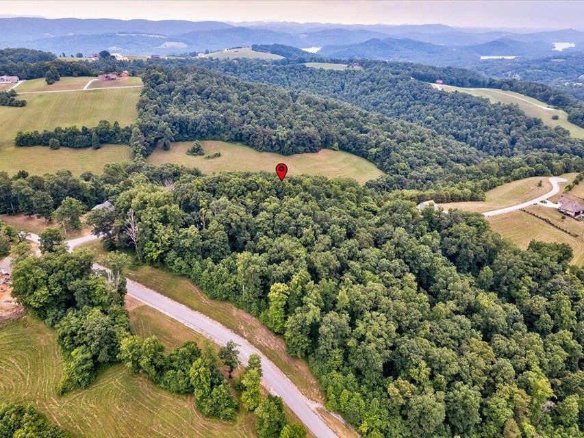 Photo #11: Lot 72 Larimar Lane