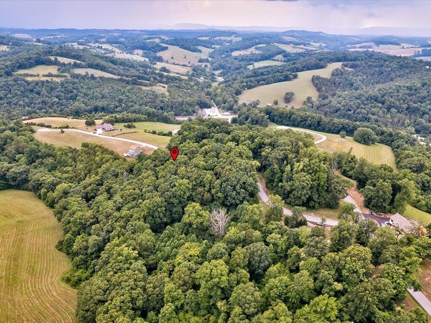 Photo #15: Lot 72 Larimar Lane