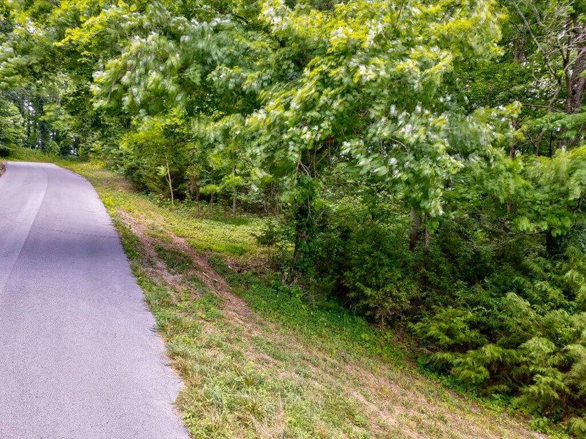 Photo #16: Lot 72 Larimar Lane