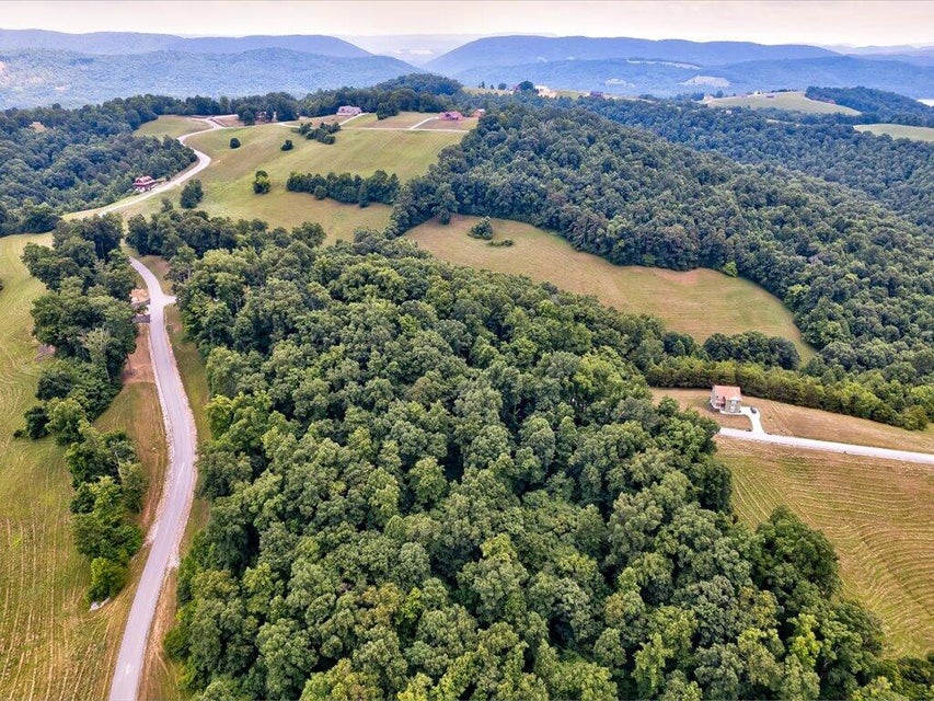 Photo #22: Lot 72 Larimar Lane