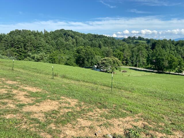 Photo #11: 2375 Cold Springs Road