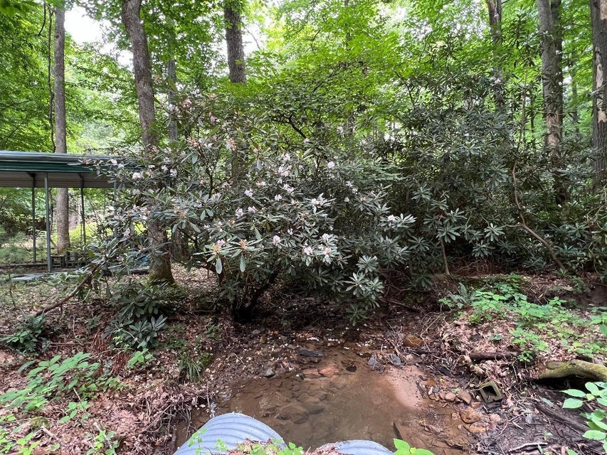 Photo #21: 39175 Blevins Road