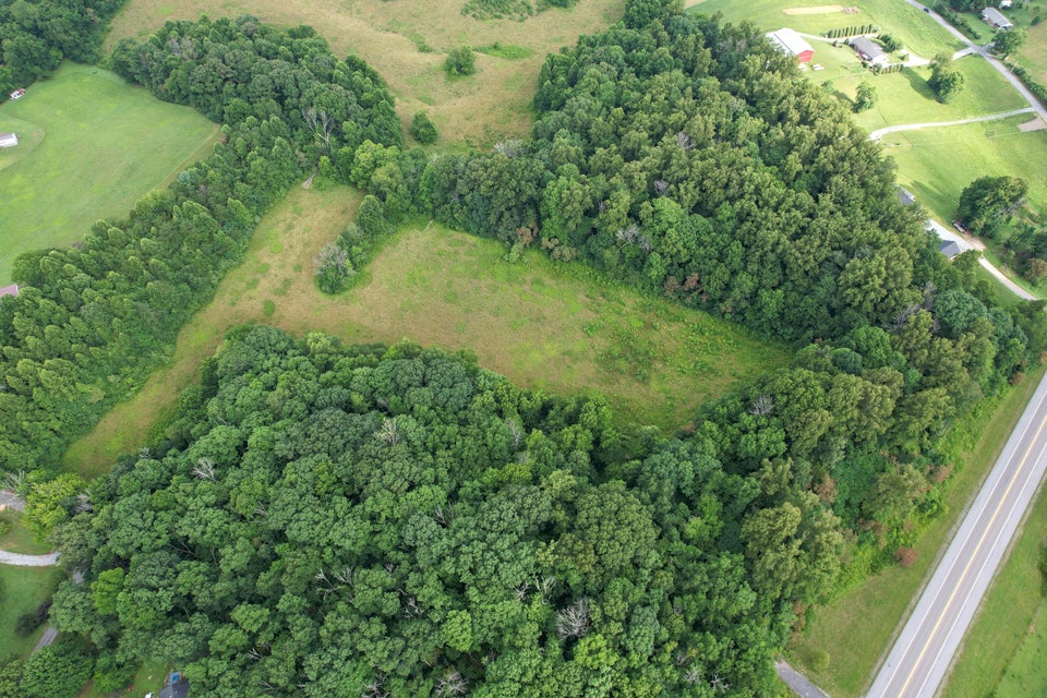 Photo #10: Tbd Cash Hollow Road