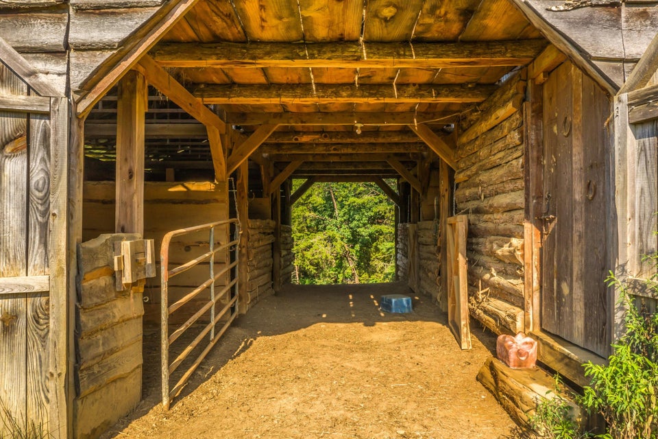 Photo #4: 983 County Line Road