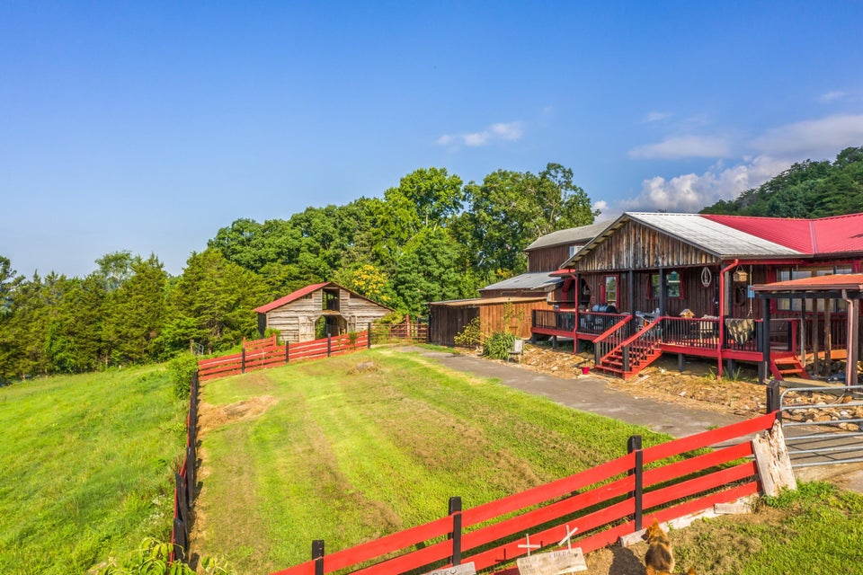 Photo #35: 983 County Line Road