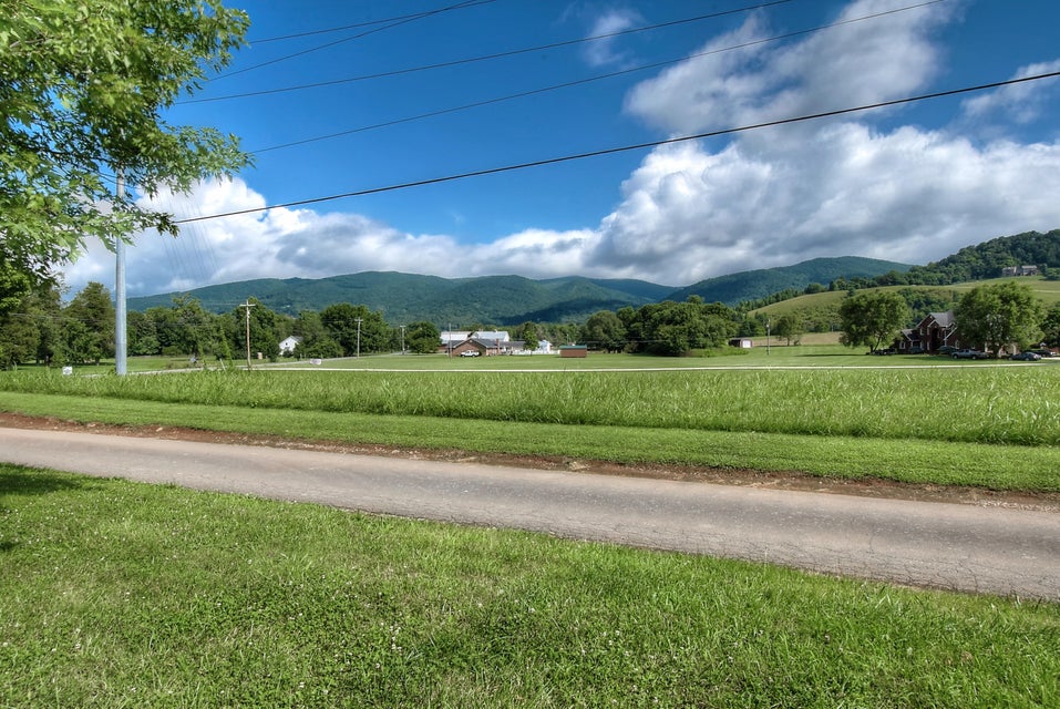 Photo #41: 217 Blue Springs Road