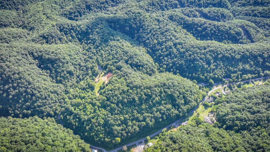 Photo #4: 1827 Bristol Highway