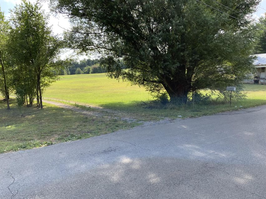 Photo #44: 111 Burton Road Road