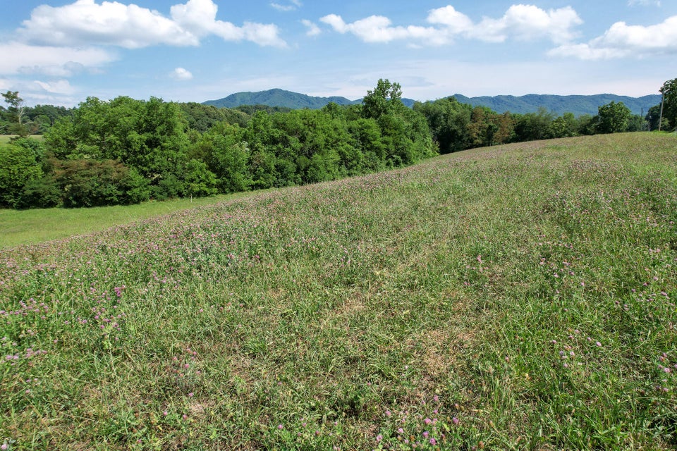 Photo #21: Lot 17 Little Meadow Creek Road